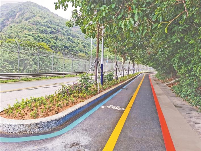 罗湖有条“彩虹”路