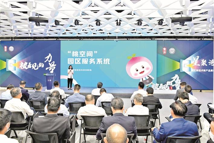 为青年发展搭台 让青春尽情出彩 ——宝安建设青年发展型城区综述（上）