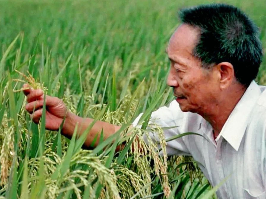  “从泥土里来，到白云中去”