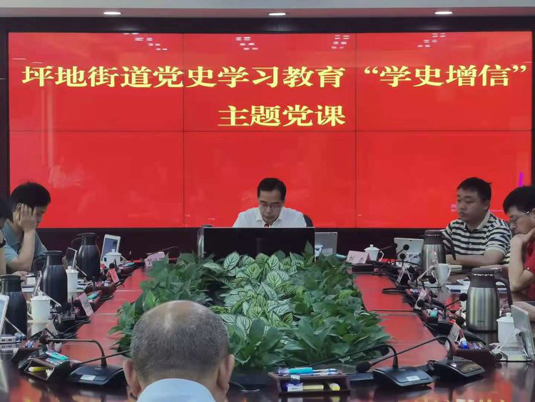 坪地街道开展党史学习教育“学史增信”主题党课