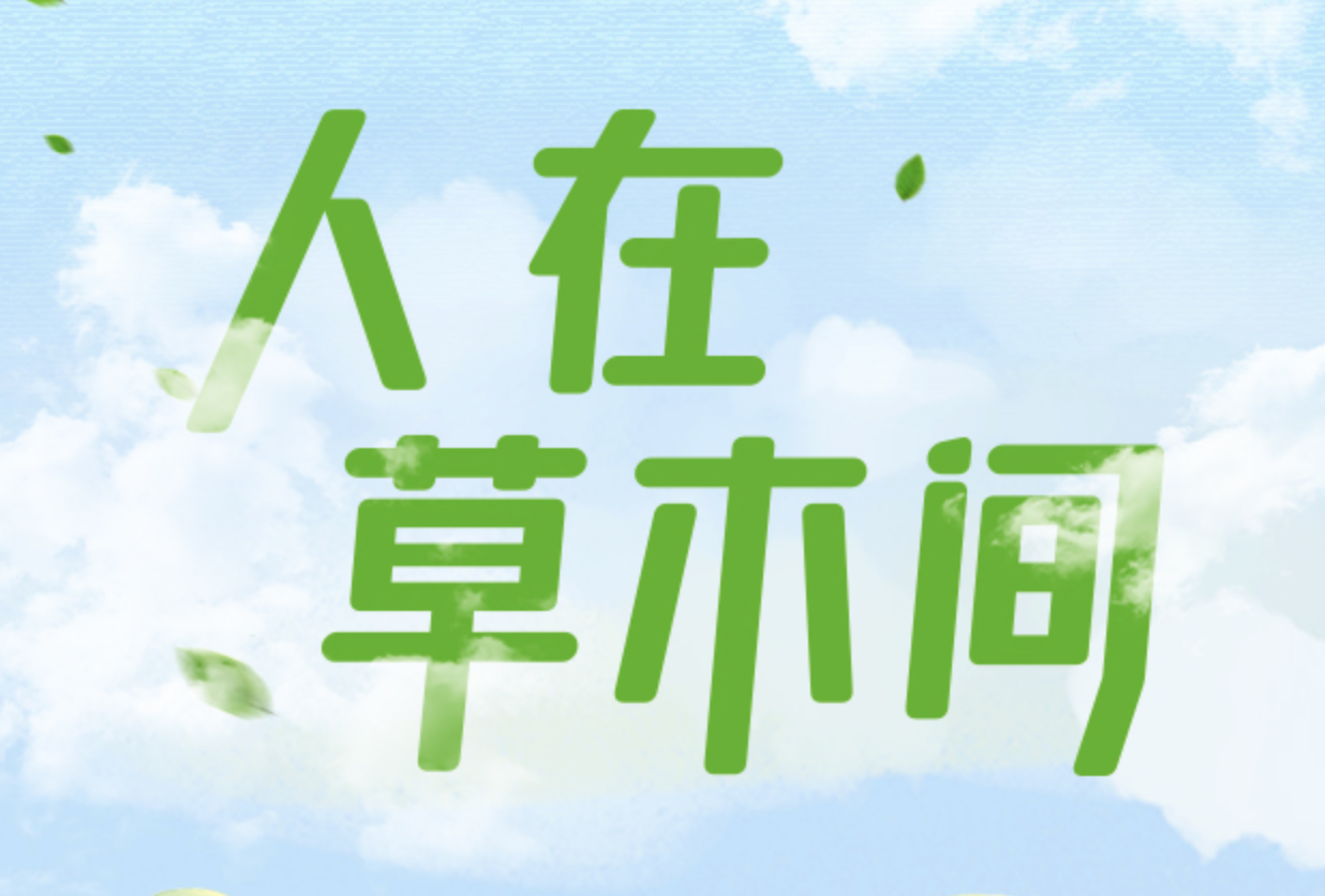联播+ | 人在草木间