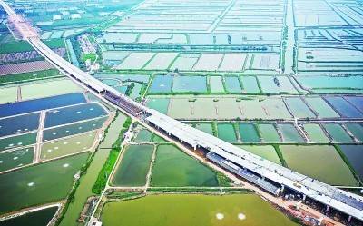 广东省珠海鹤港高速公路二期工程高栏港枢纽立交桥建设现场。 新华社发