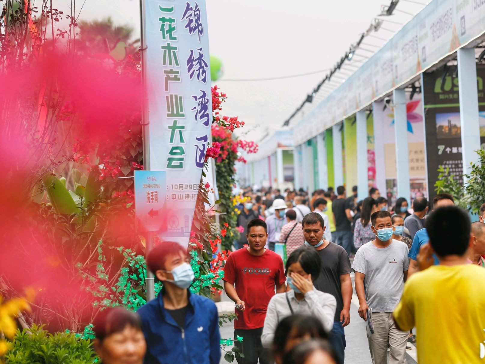 申办中国花博会，中山如何撑起花木之盛？