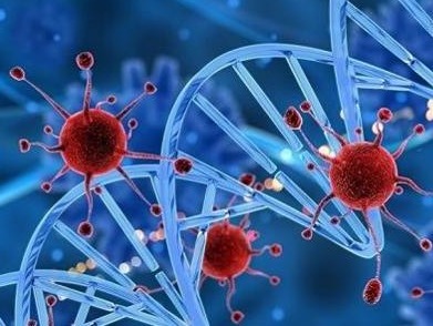深圳11例新冠病毒无症状感染者基因组溯源已完成，均为同一英国变异株