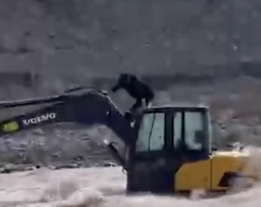 新疆一男子因雪水融化被困 民警调直升机救援
