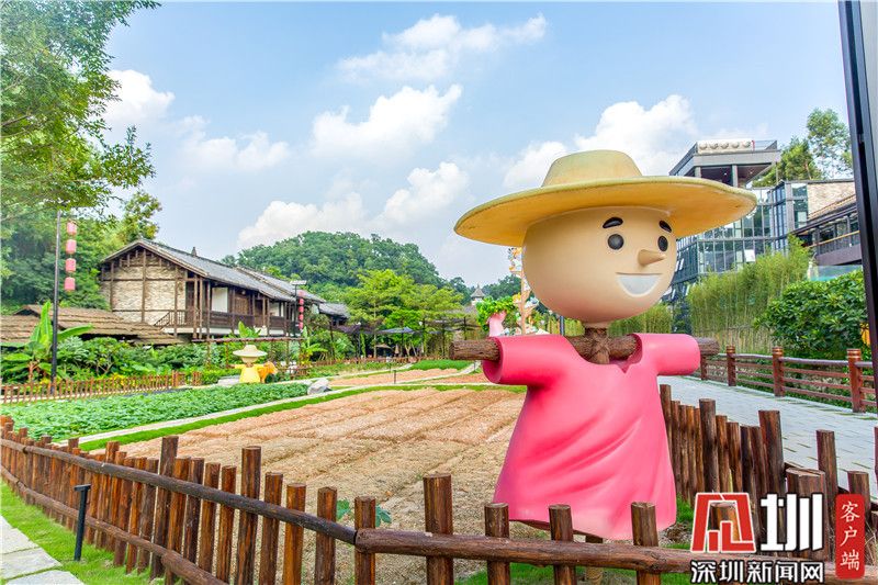小凉帽农耕节来啦！