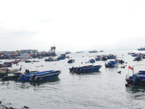 深圳千船归港，南海伏季休渔开启