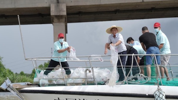 珠海市斗门区2540万尾种苗放流大海！加快西江流域渔业资源恢复