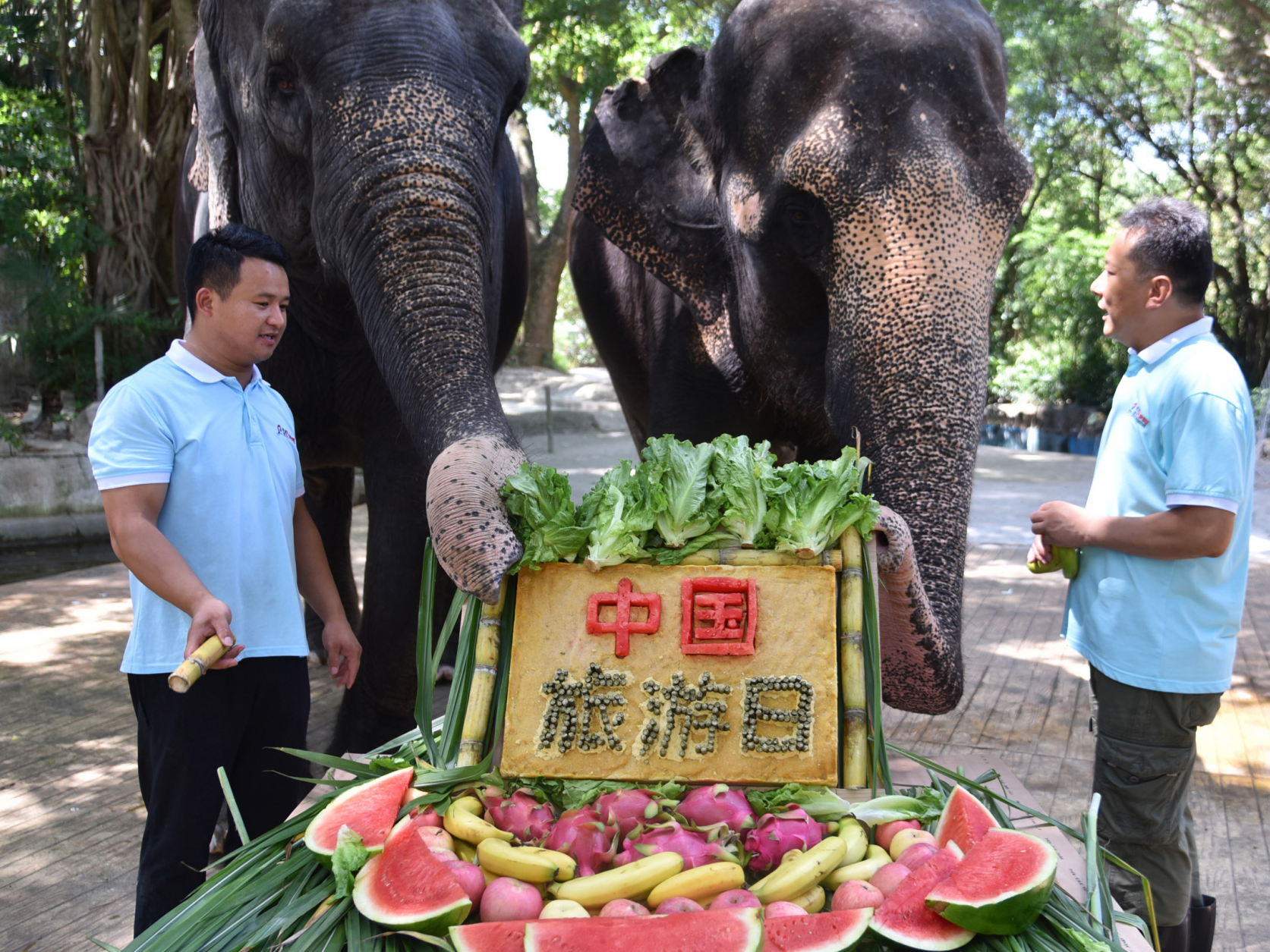 深圳野生动物园喜迎“中国旅游日” 