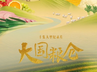 聚焦“中国饭碗”，《国家记忆》推出纪录片《大国粮仓》