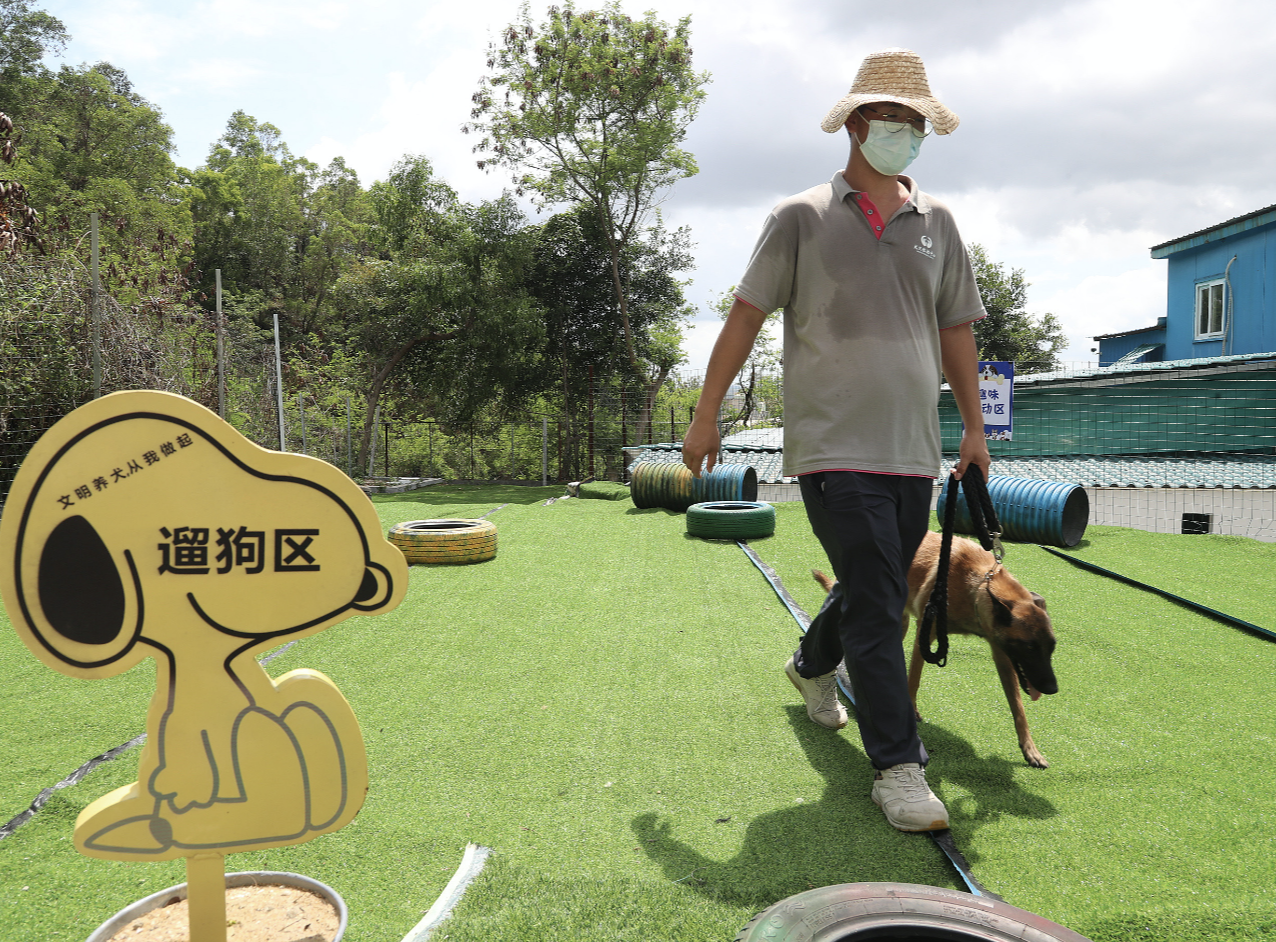 深圳将开展领养犬只活动，记者先带你去看看犬只收治中心长啥样