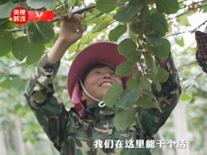 时政现场说丨绿了环境 美了生活——家门口的致富路真“中”！