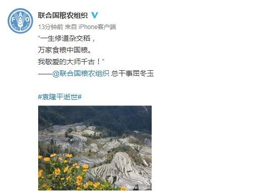 联合国粮农组织总干事缅怀袁隆平：敬爱的大师千古