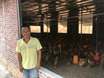 深河共建 圳在帮扶 | 龙川周塘村：从贫困户到致富带头人的蜕变