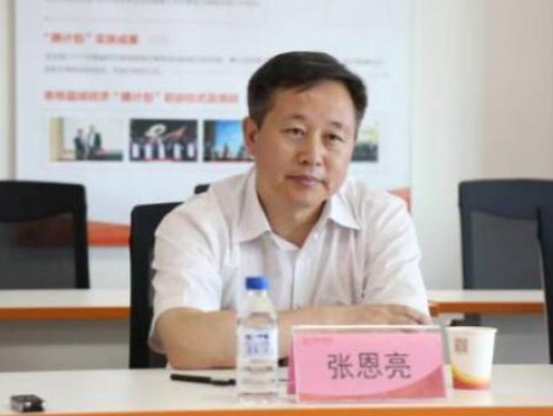 黑龙江省鹤岗市委书记张恩亮接受审查调查