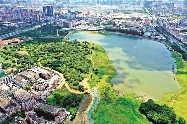明湖公园与汽车文化“联姻” 将改造成为深圳首个汽车文化主题公园