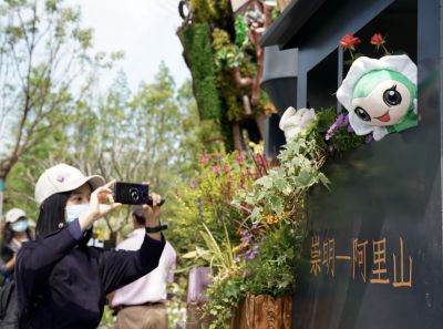 满载鲜花的“阿里山小火车”驶上崇明岛——第十届中国花博会台湾展园掠影