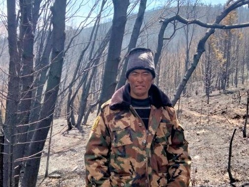四川理塘野猪泛滥一村支书遭袭击身亡，当地计划捕猎500头