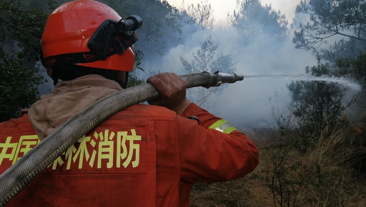 过火面积约48公顷！大理森林火灾明火已扑灭 无伤亡