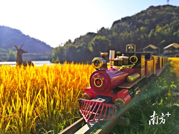 广州市再添69条市级美丽乡村 实现美丽乡村全覆盖