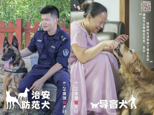 宠TA丨警犬、导盲犬……今天，他们值得被关注