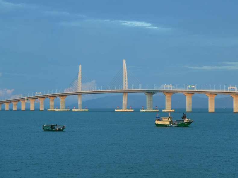 因时而兴 融通共赢——粤港澳大湾区“后浪”奔涌