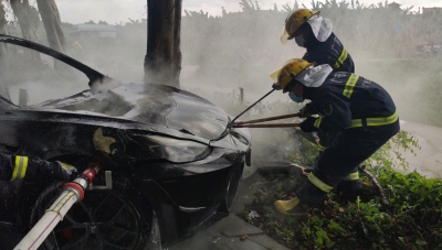 广州一特斯拉撞树后起火，消防到场及时扑救