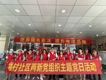 新湖街道楼村社区“两新”党支部组织开展  “我为群众办实事”宣传服务与环境卫生  整治主题党日活动