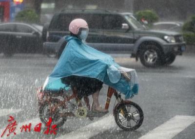 6月广州龙舟水凶猛，局部大暴雨之后还有台风