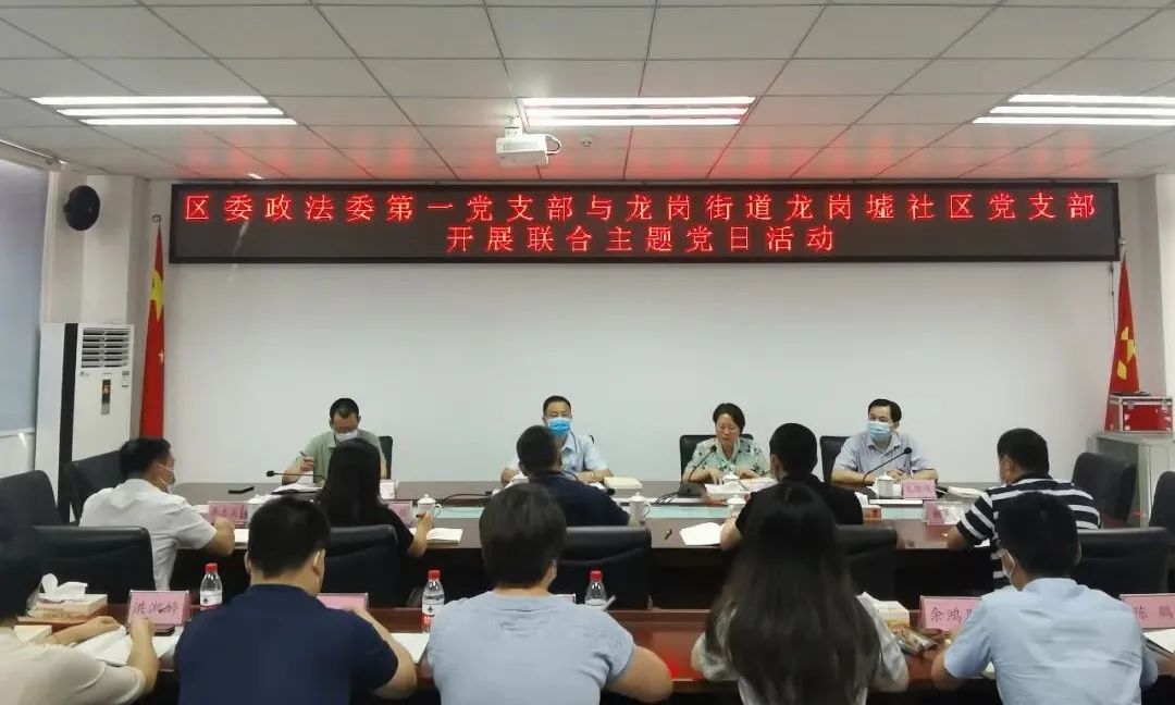 龙岗区委政法委第一党支部与龙岗墟社区党支部开展联合主题党日活动