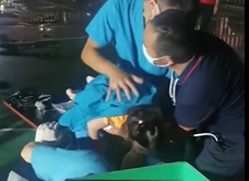 端午惊魂夜，为了3岁小儿，“白粽子”与“绿粽子”殊死搏斗！