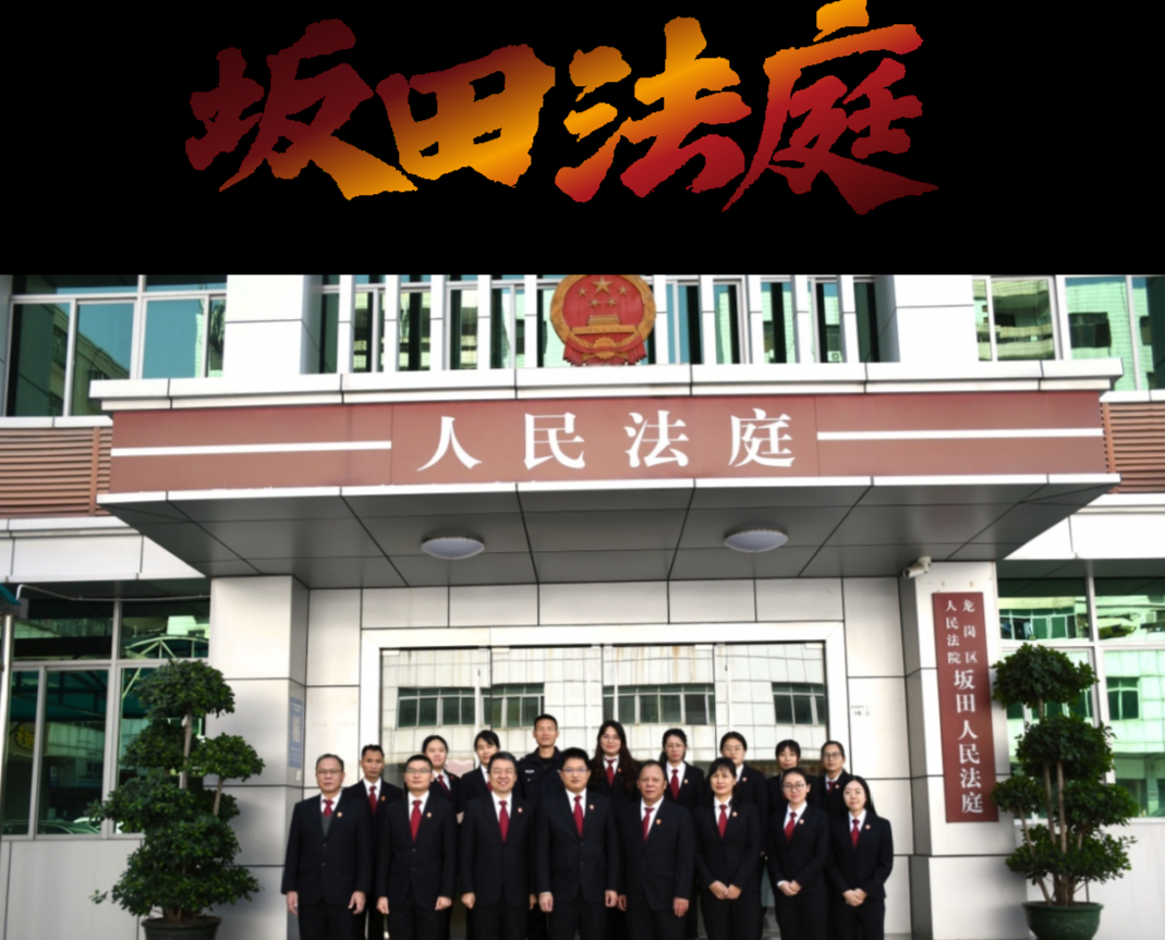 坂田法庭：“疾风知劲草，岁寒见后凋”