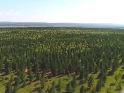 国家林草局：实现连续3个监测期荒漠化沙化土地面积双缩减