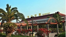 原地过节！端午假期珠海市交通客流同比下降近三成