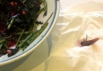 龙岗一男子带着蟑螂吃霸王餐，把自己“吃”进了拘留所 