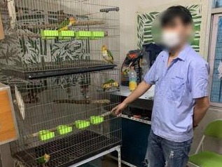 严查！龙华破获一宗危害野生动物案件，查获疑似国家二级保护动物10只