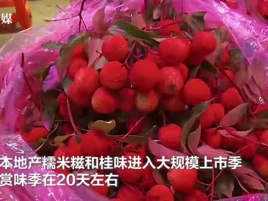 深圳荔枝赏味季，来感受一下“日啖荔枝三百颗”的爽！