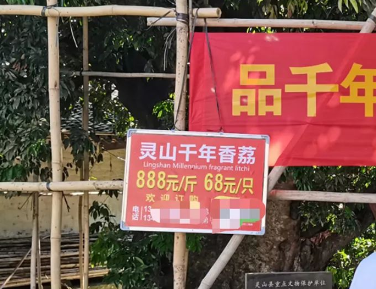 “888元一斤，68元一颗的荔枝”火了