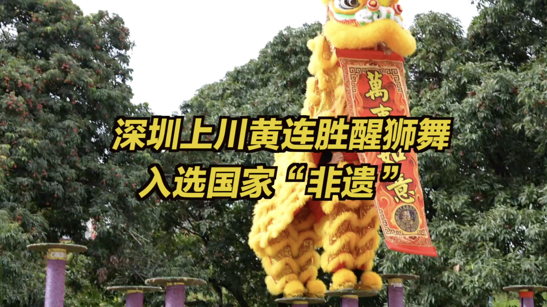 9岁深圳男孩想做一名舞狮人