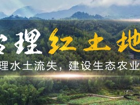 习近平对土地的深情