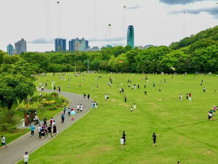 深圳公园端午期间接待游客130.7万人次，最受欢迎的还是它！