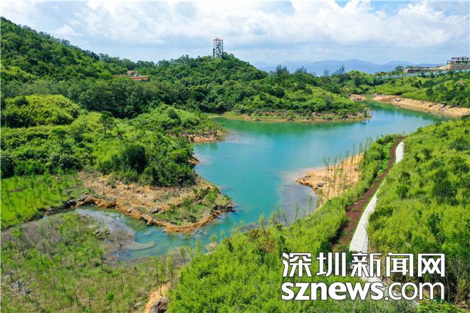 瞰盐田｜三洲塘水库公园：漫步山林间 阅尽湖海颜