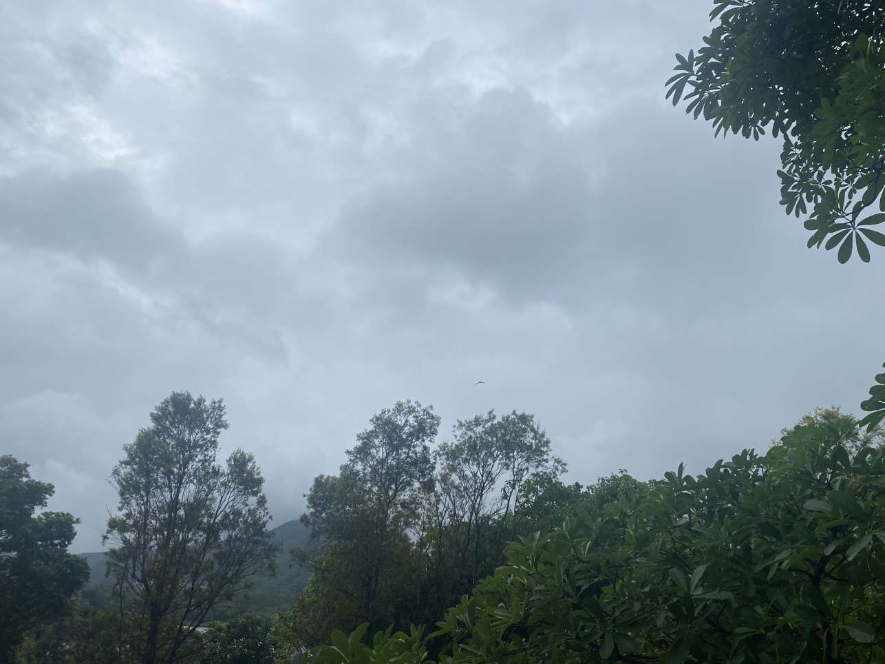 深圳暴雨黄色预警持续生效中 宝安光明龙岗龙华部分区域雨势较大