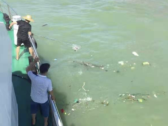 深圳在国内率先实施海漂垃圾常态化清理“环卫”制度