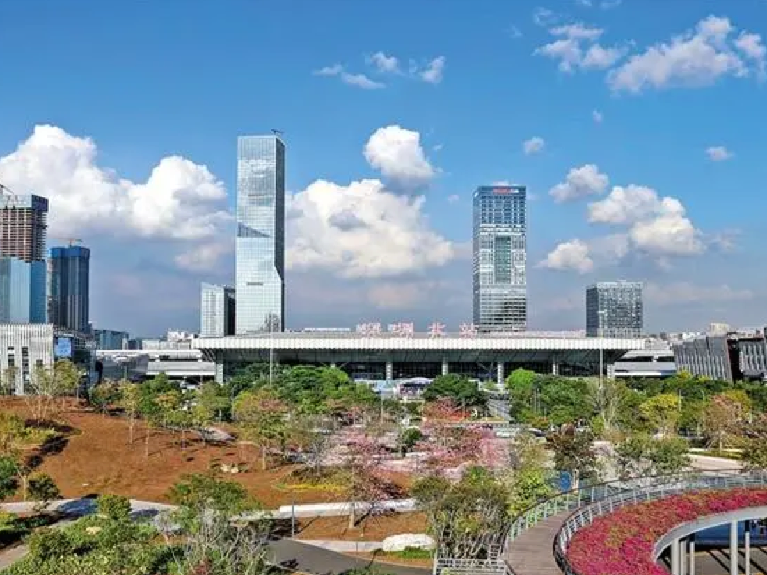 奋斗之城：梦想在龙华热土照进现实