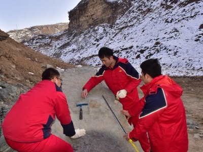 陕西延安发现中国最古老的龟类足迹和侏罗纪大型肉食龙足迹