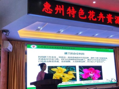 助力惠州花卉产业振兴，省农科院专家传授兰花种植技术