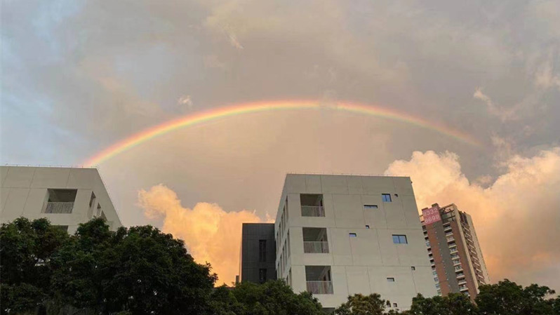 超美！深圳傍晚的天空上挂了个彩虹，网友开启“晒彩虹”大赛