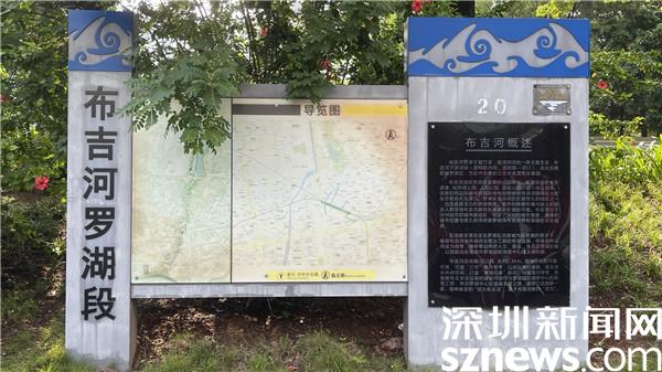 保护“母亲河”！50名学生志愿者在罗湖开展巡河活动