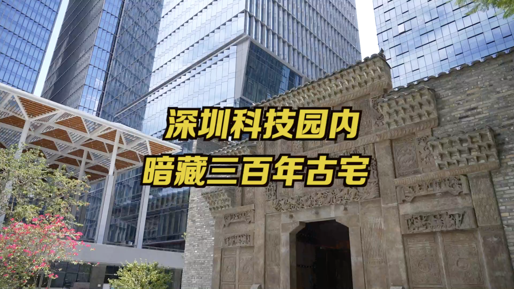 300岁江西老表搬进深圳科技园